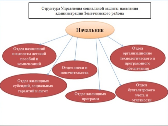 Структура организации